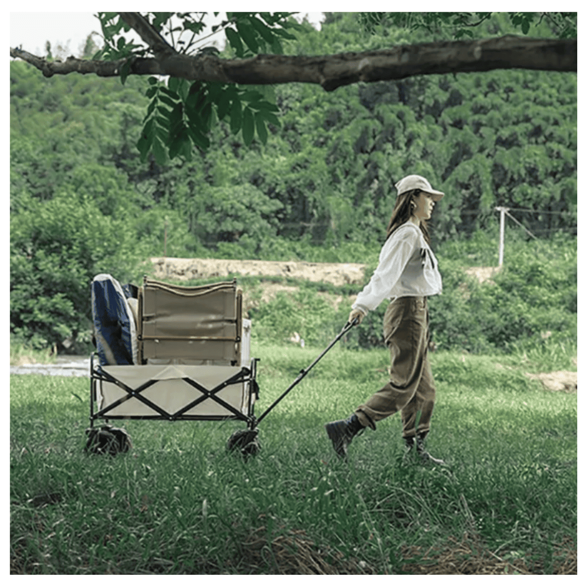 Carrito con Mango Plegable Ajustable